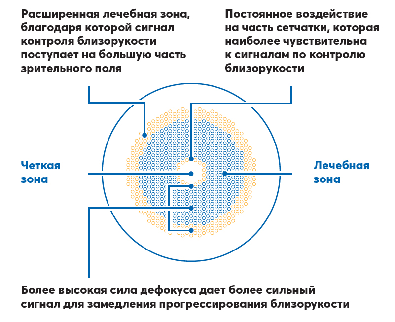 MiYiQ-01.jpg