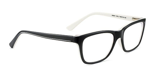 BANISS 601-02