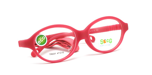 SecG 691 33