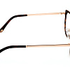 Cosmopoliten 910-02