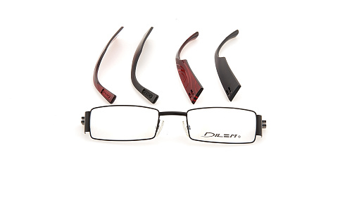 DILEM LC024