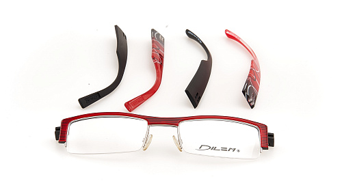 DILEM FD 031