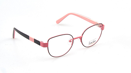 BANISS 2111-01