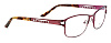 BELUTTI 008-02