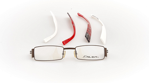 DILEM LC025