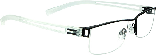 DILEM GB010