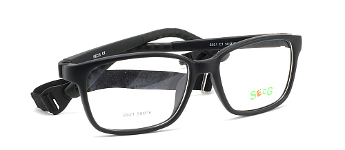 SecG 919 1