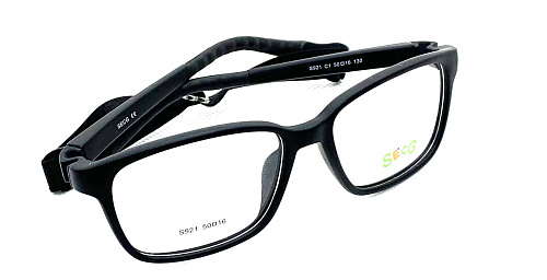 SecG 921 1