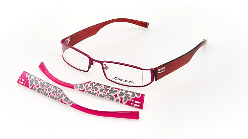 DILEM RC 024