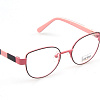 BANISS 2111-01