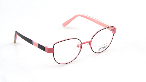 BANISS 2111-01