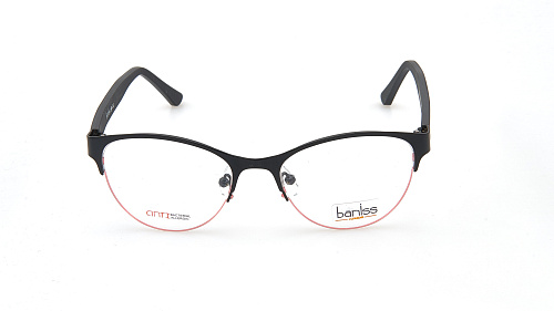 BANISS 2109-01