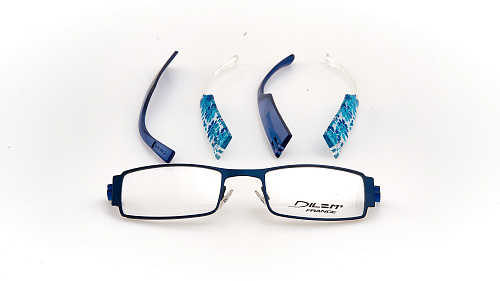 DILEM SD031