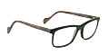 AUGUSTO VALENTINI 08195-1251