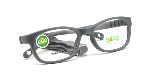 SecG 869 18