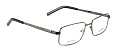 LORIS 0021-C12