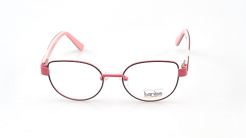 BANISS 2111-01