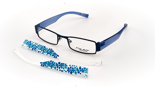 DILEM SD031