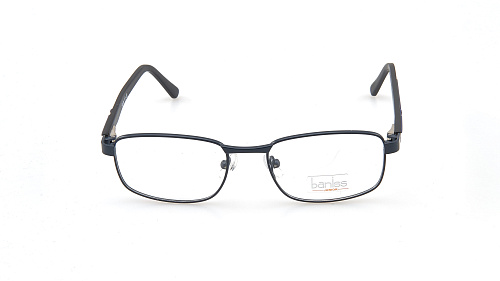 BANISS 3091-02