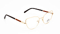 Sky 0320 GLD