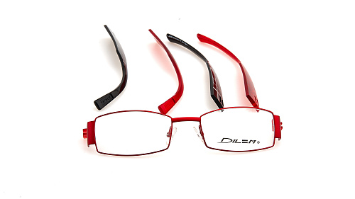 DILEM LB 010
