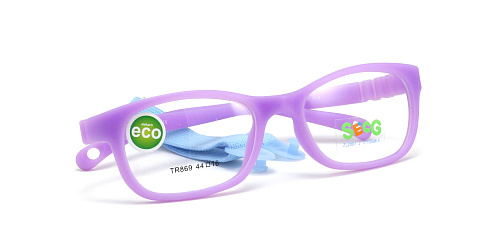 SecG 869 15