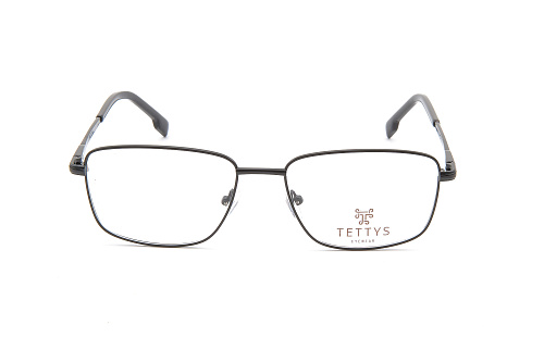Tettys 260025 1