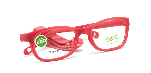 SecG 869 33