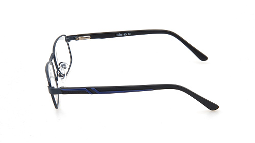 BANISS 3091-02