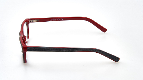 BANISS 6035-02