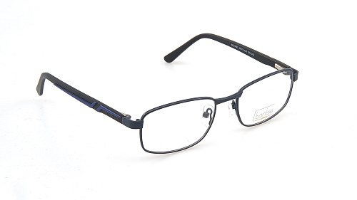 BANISS 3091-02
