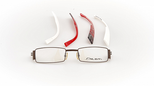 DILEM LC025